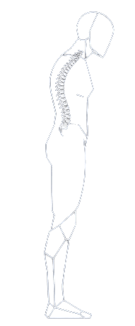 Spine recovery stage 3