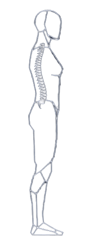 Spine recovery stage 5