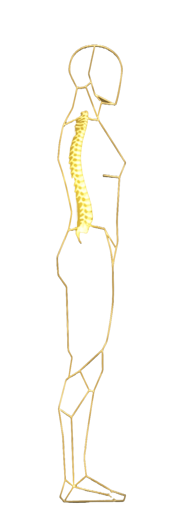 Spine recovery stage 6